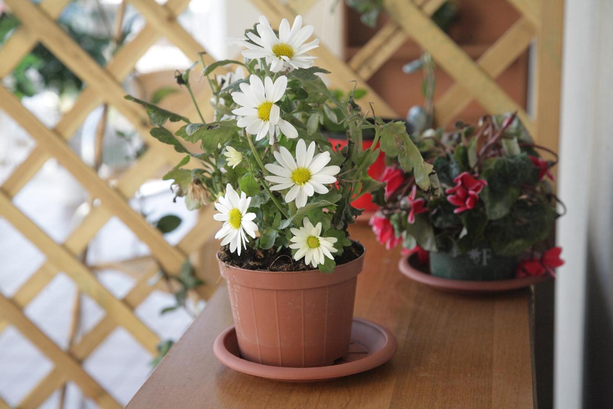 Bed and Breakfast Etna Sea House Катанія Екстер'єр фото